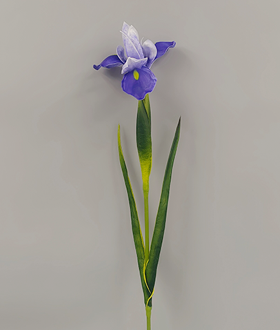 PU鸢尾花仿真花单枝