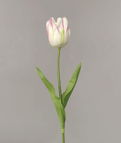 PU小号鹦鹉郁金香仿真花单枝