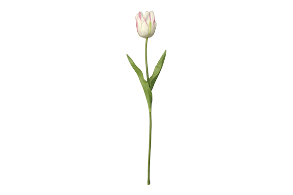 PU小号鹦鹉郁金香仿真花单枝