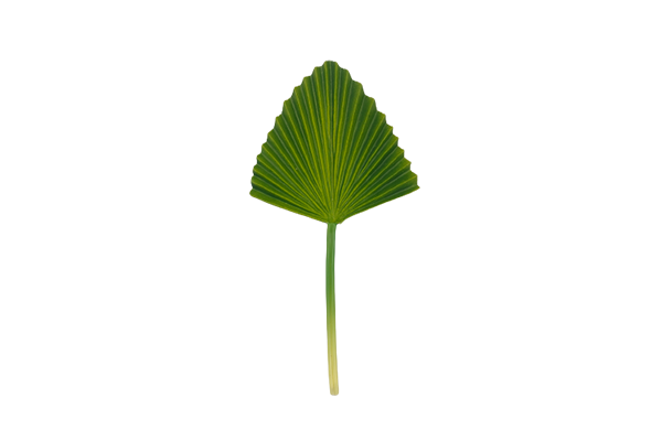 PU仿真三角叶