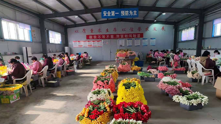 Assembly Workshop